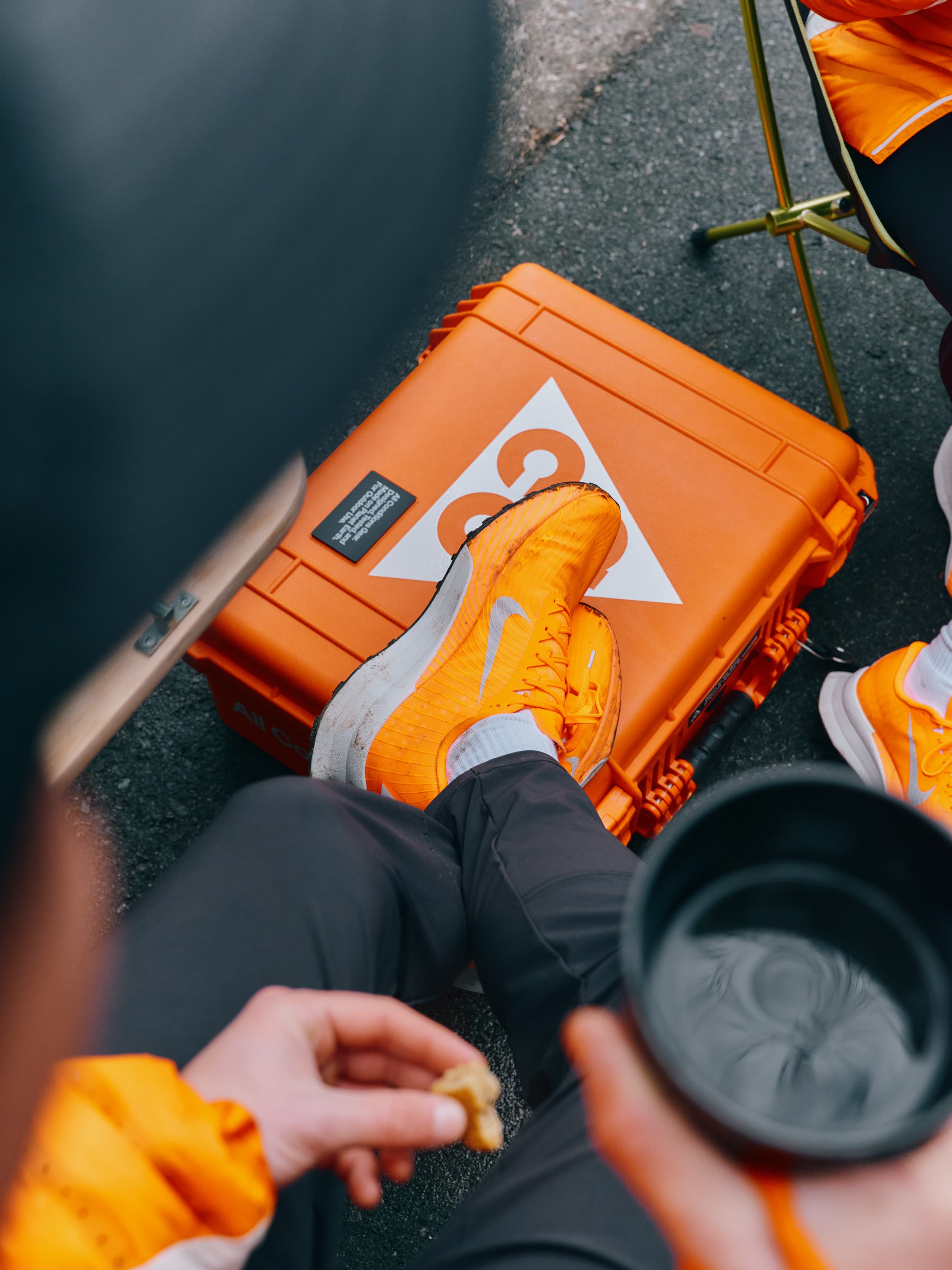 About the Collection